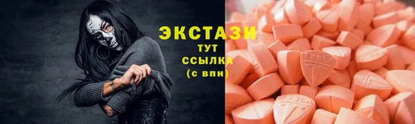 ECSTASY Богданович